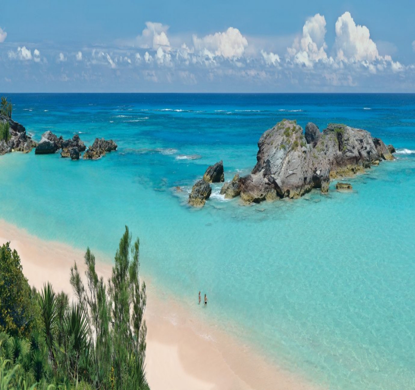 Escape to nature with an exotic vacation at Miami Beach